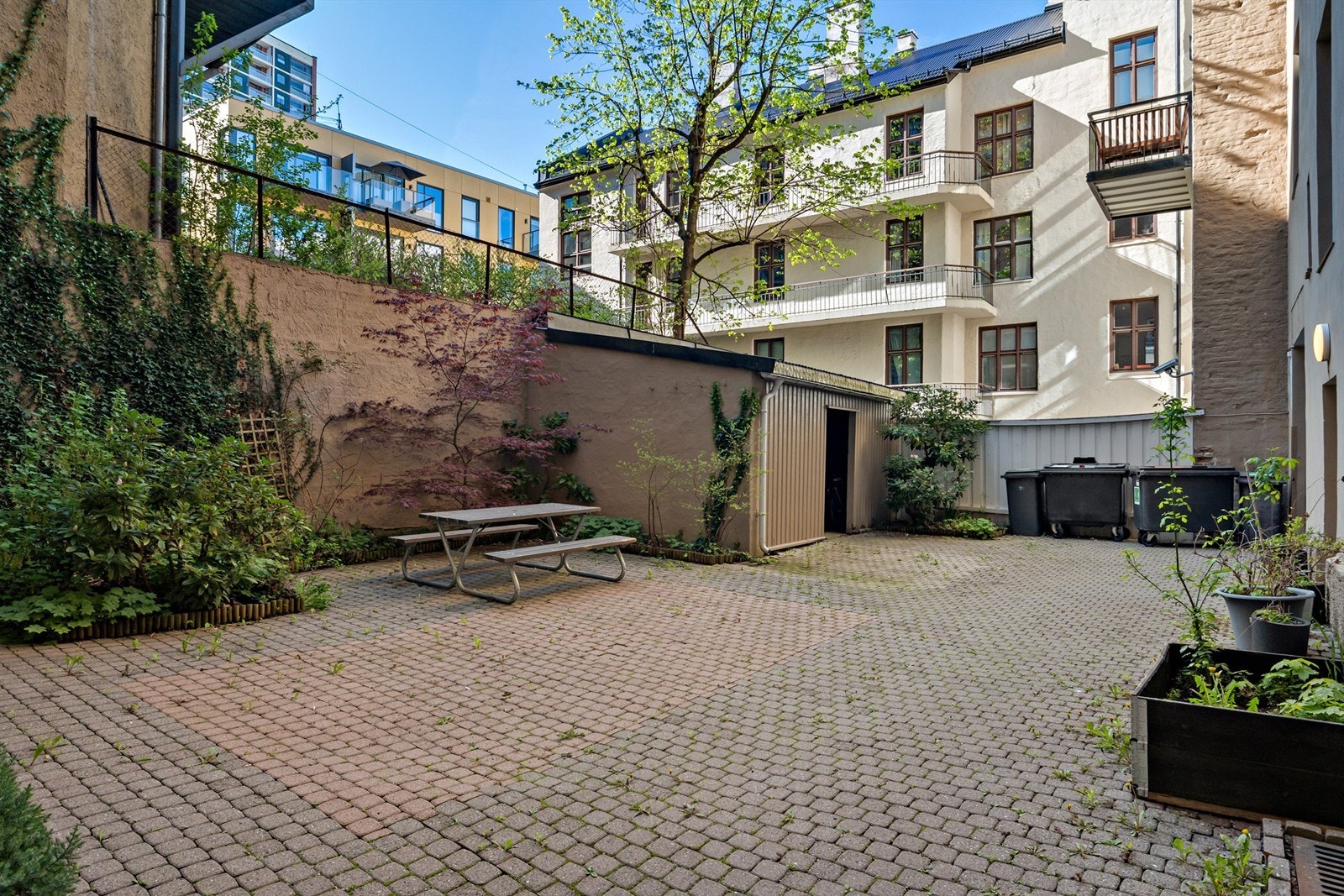 Bakgård. Galleribilde