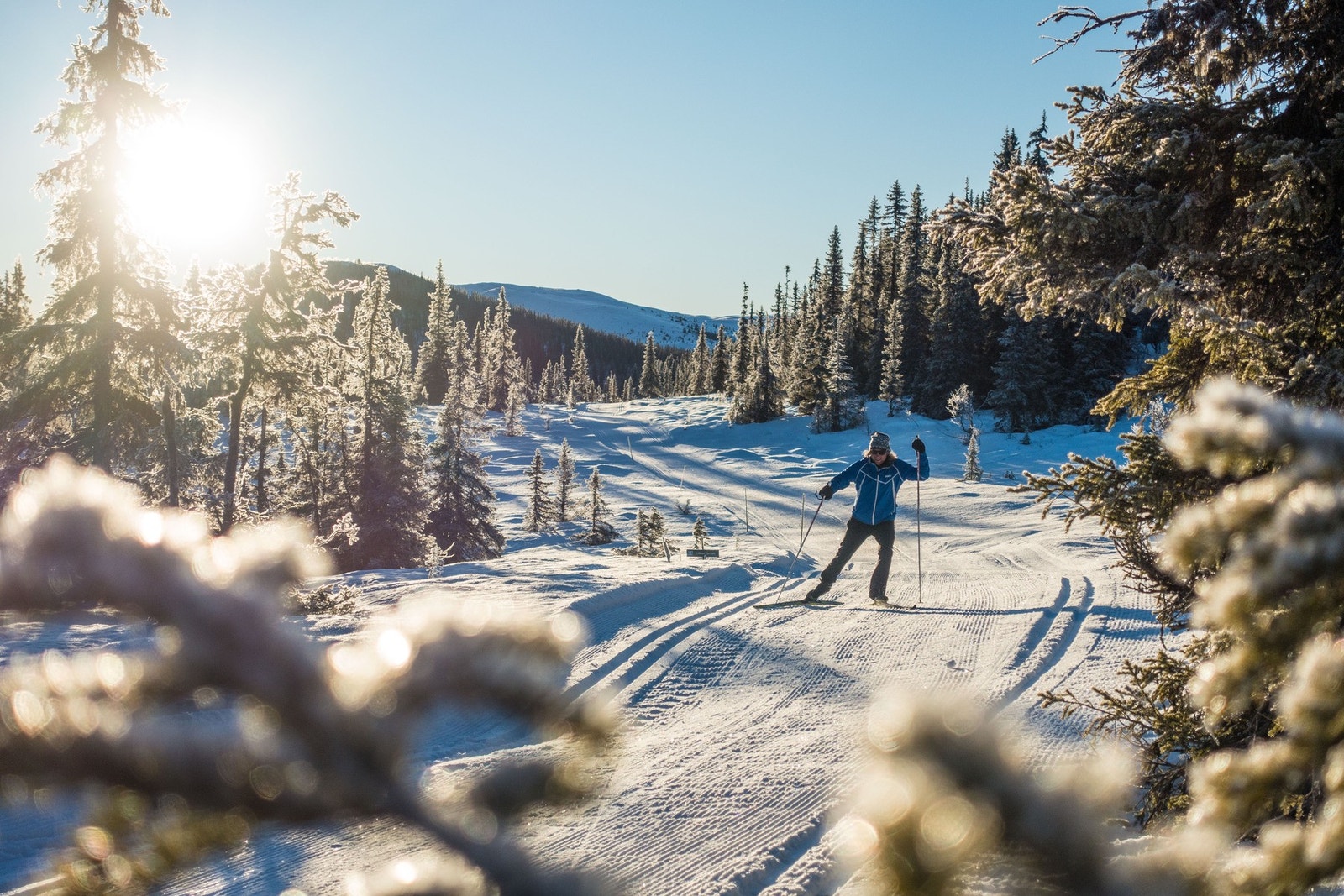 Nesfjellet har langrennløyper i både lunt skogsterreng og i høyfjellet. Foto: Lars Storheim. Galleribilde