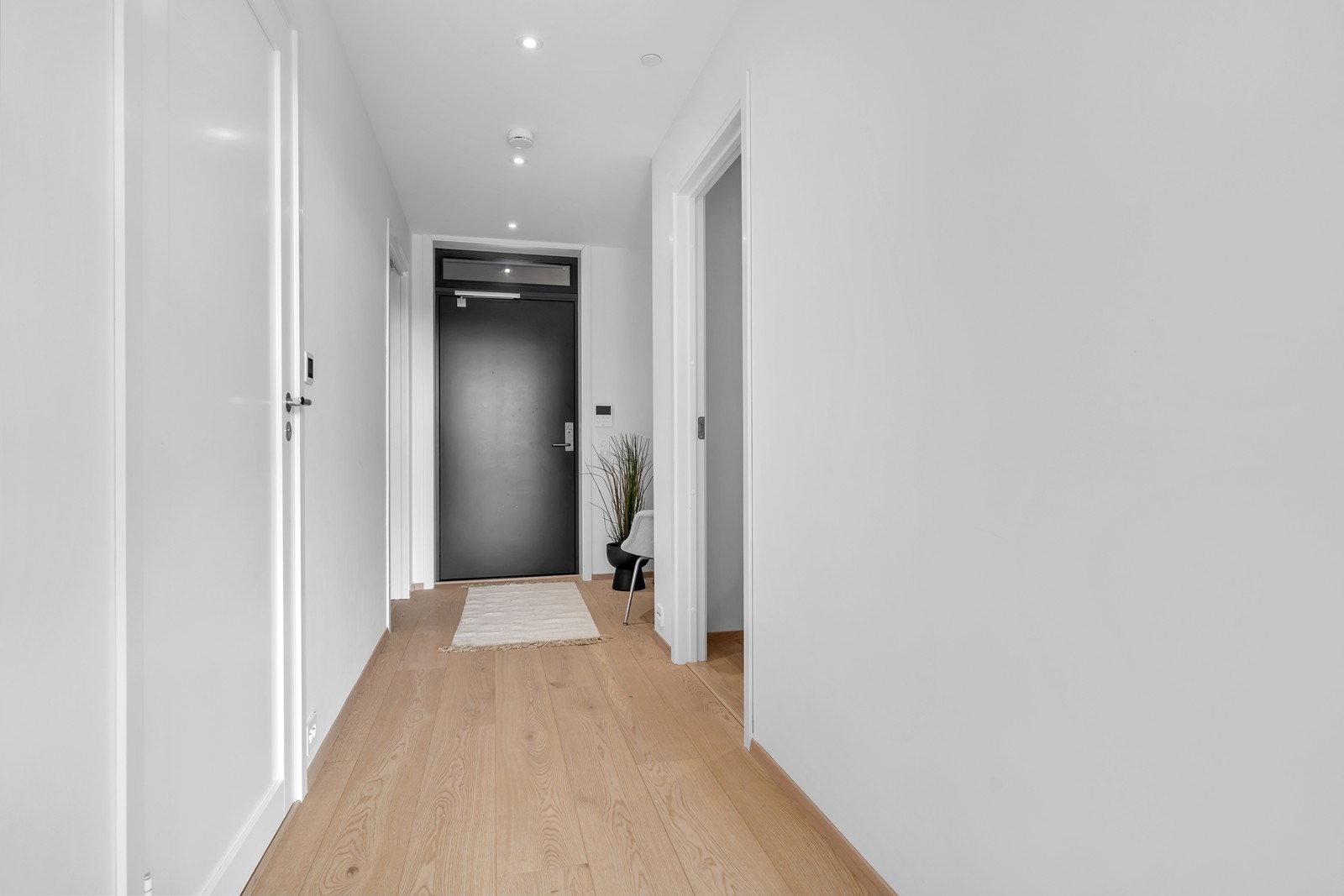 Flott 1 stavs eike-gulv og downlights i taket. Galleribilde