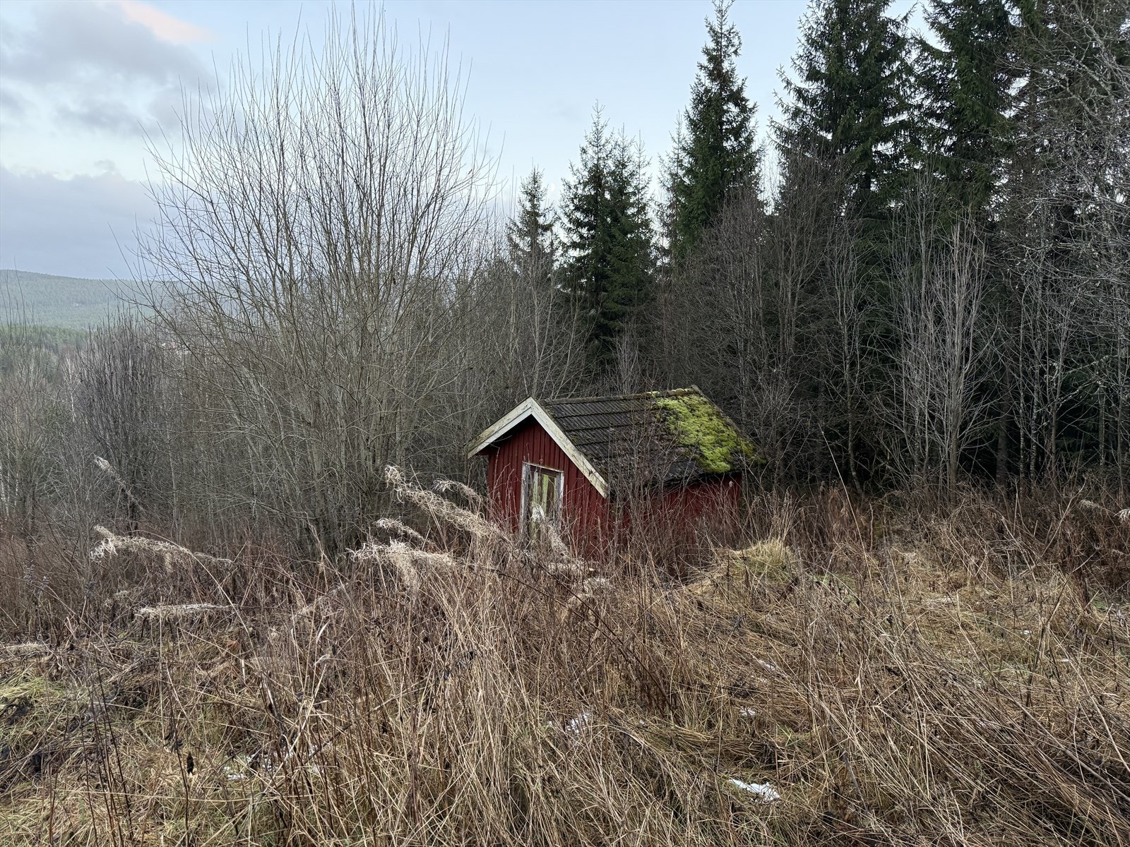 Et mindre uthus følger også med eiendommen. Galleribilde