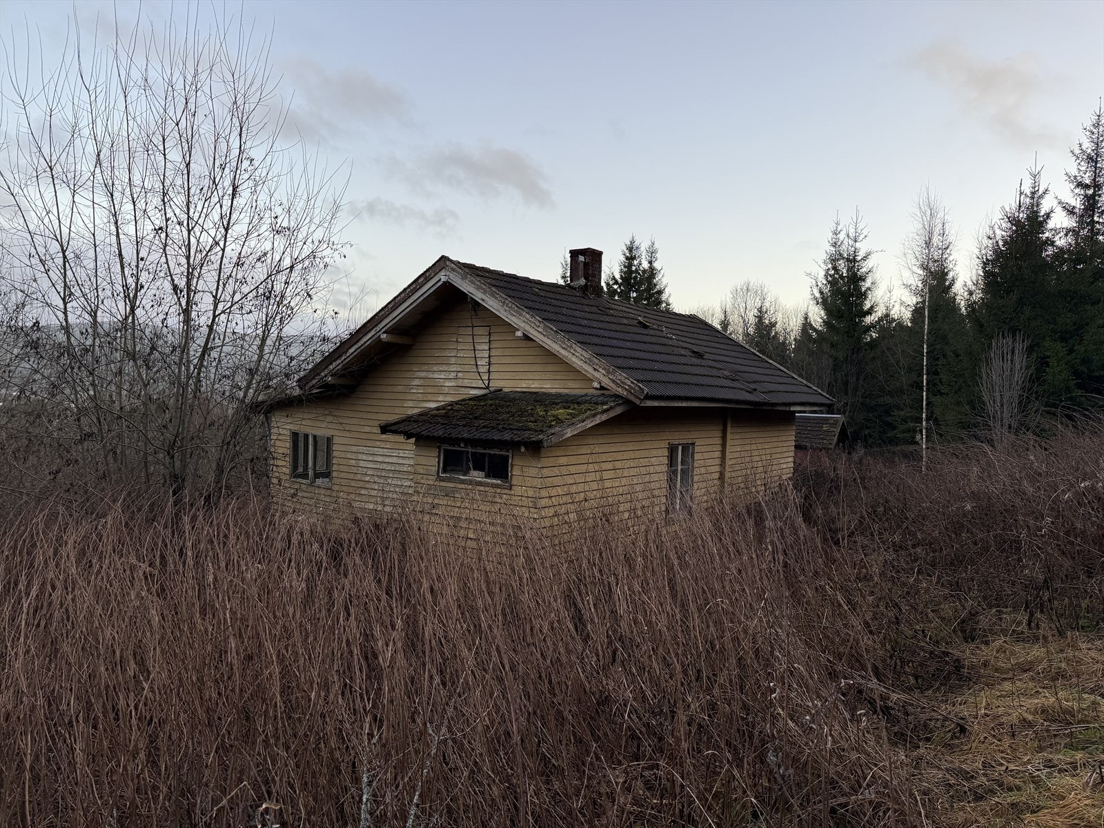 Plasseringen er tilbaketrukket og privat, uten nære naboer. Galleribilde