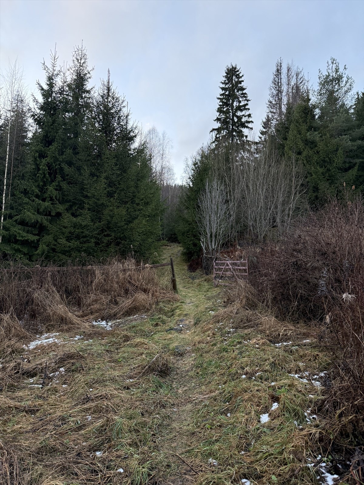 Vinterstid prepareres det skiløyper i området, med tilknytning til nabokommunene. Galleribilde