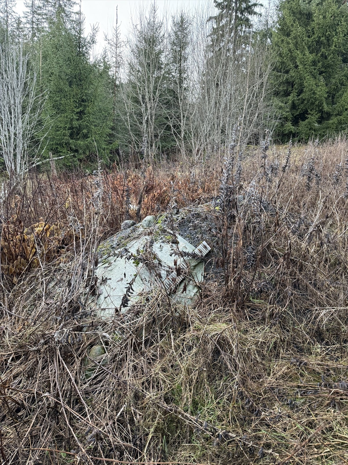 Tomten er en naturtomt som er grodd igjen, men har potensial for opparbeidelse. Galleribilde