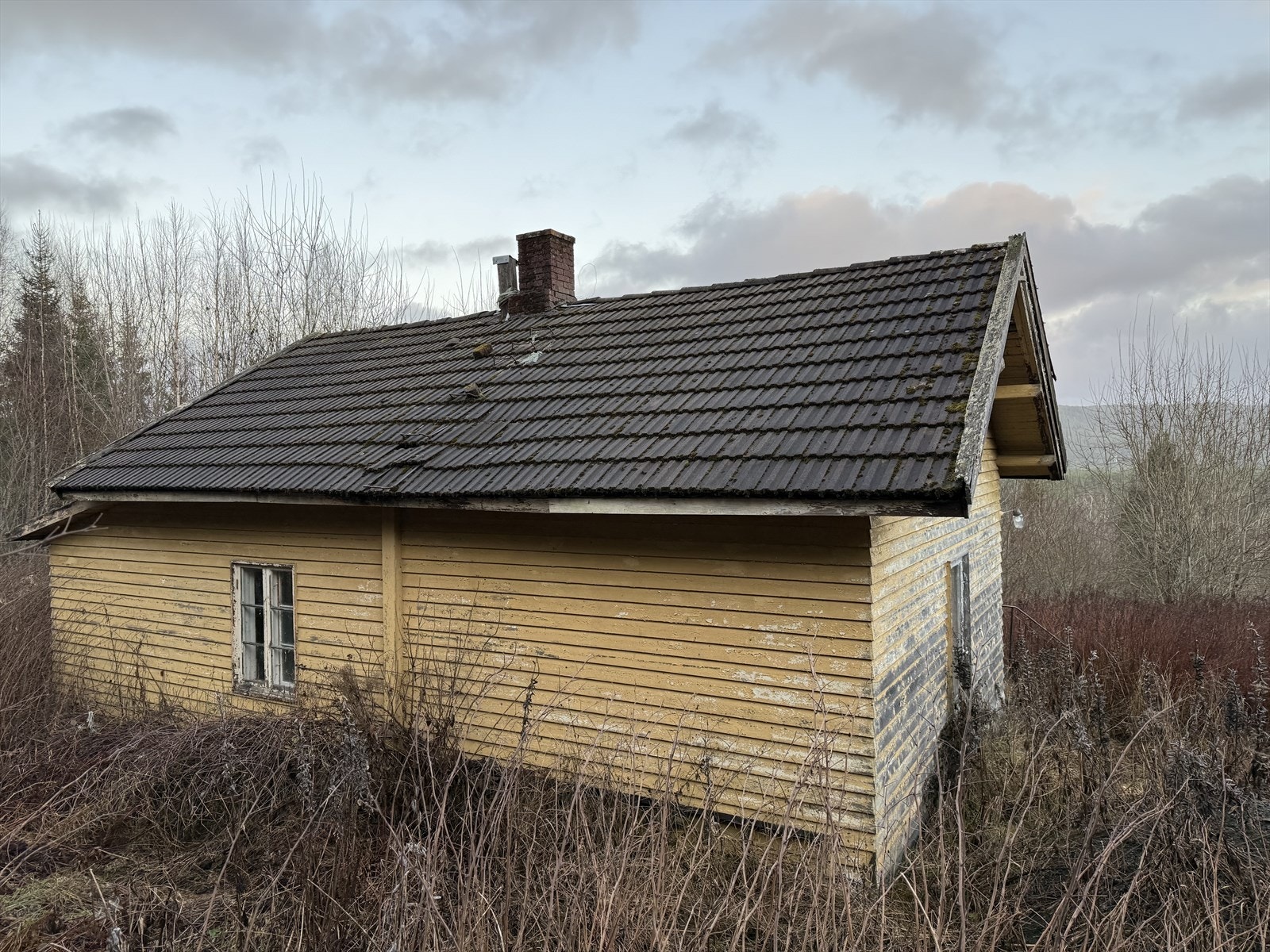 Tomten er romslig og gir frihet til å forme uteområdene slik du selv ønsker. Galleribilde