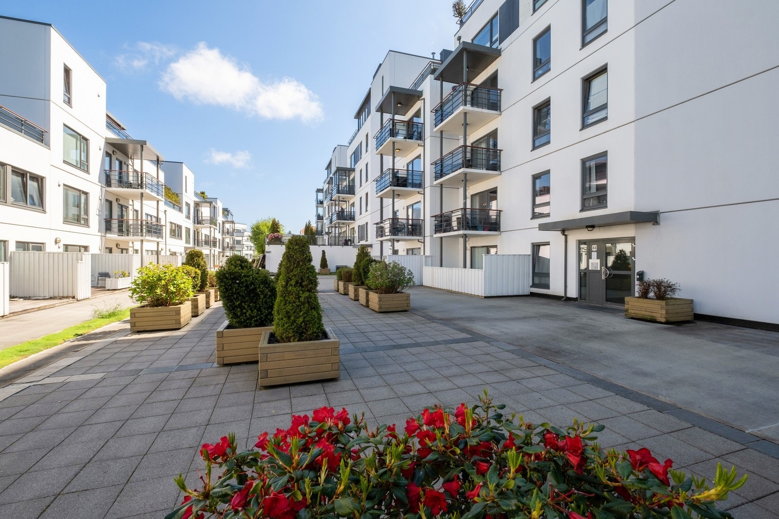 Velkommen til Sverdrups gate 42! Galleribilde