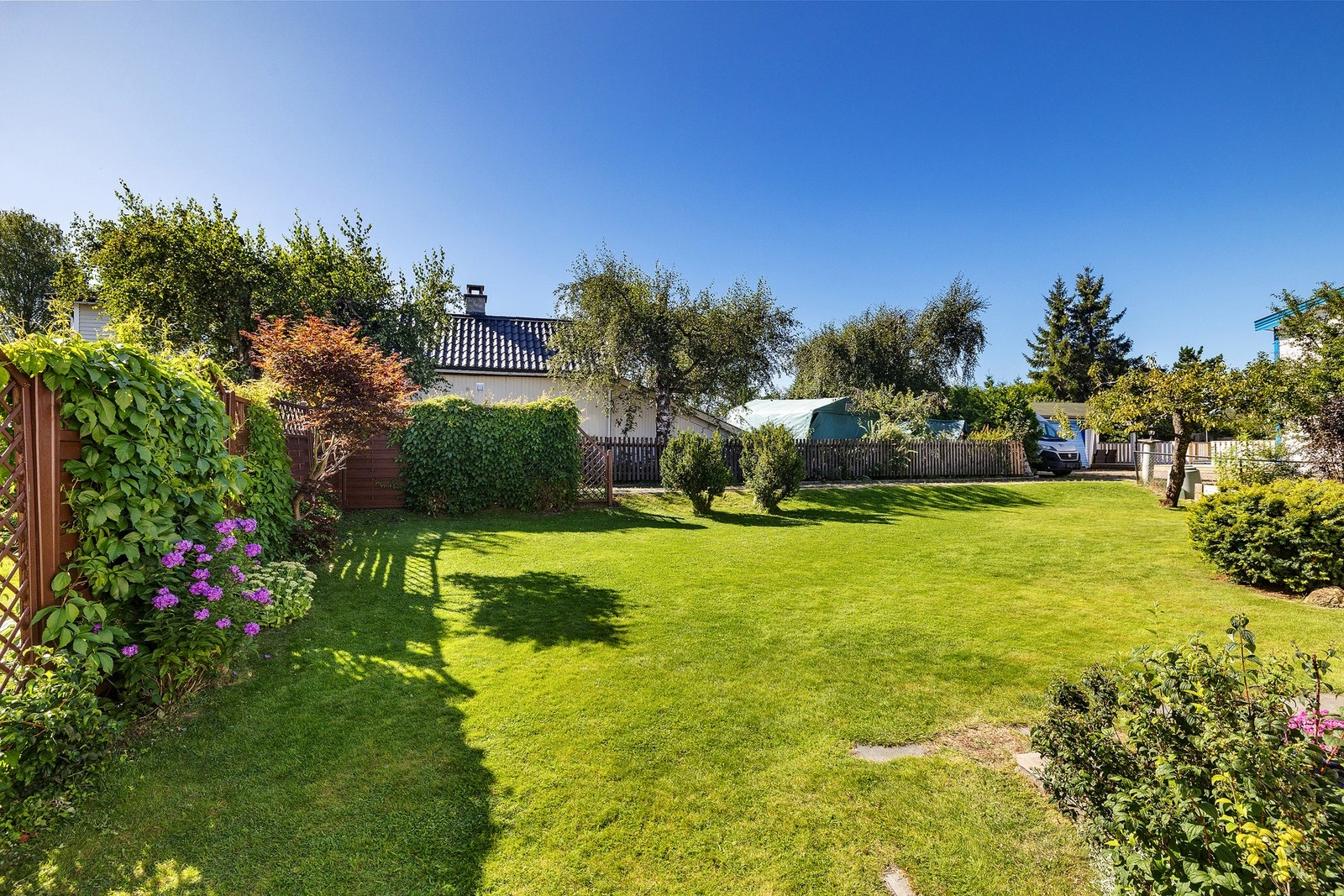 Oversiktsbilde av hagen. Galleribilde