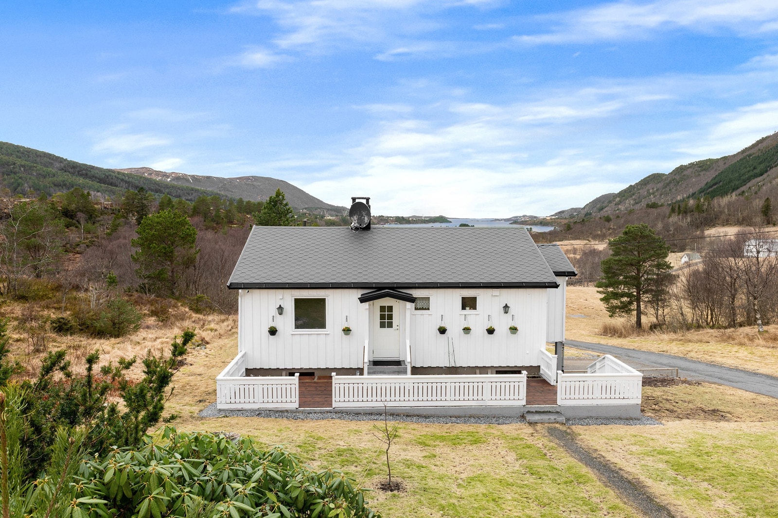 Velkommen til visning Galleribilde