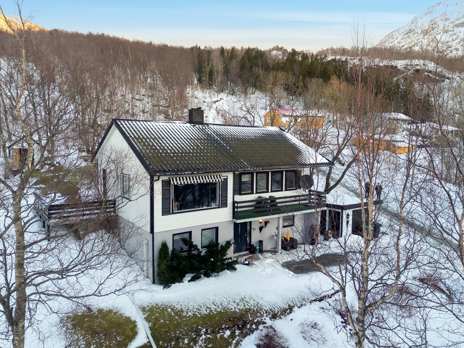 Fasade. Galleribilde