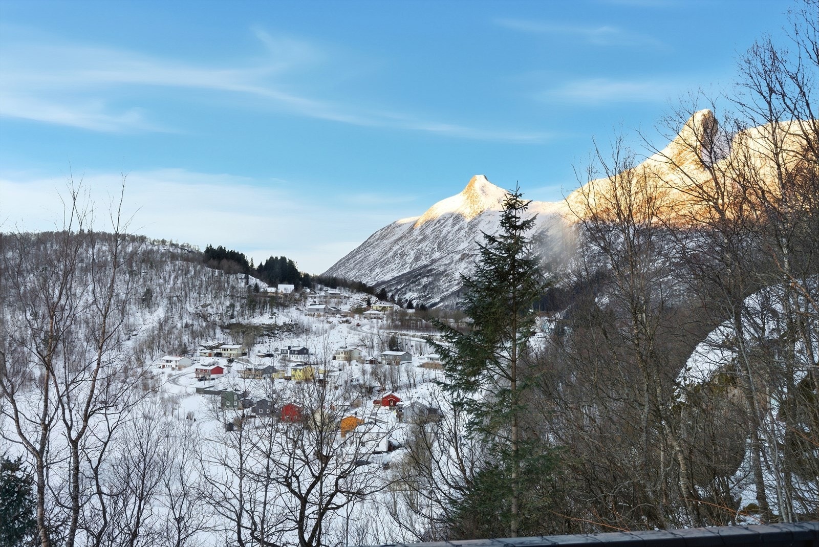 Utsikt. Galleribilde