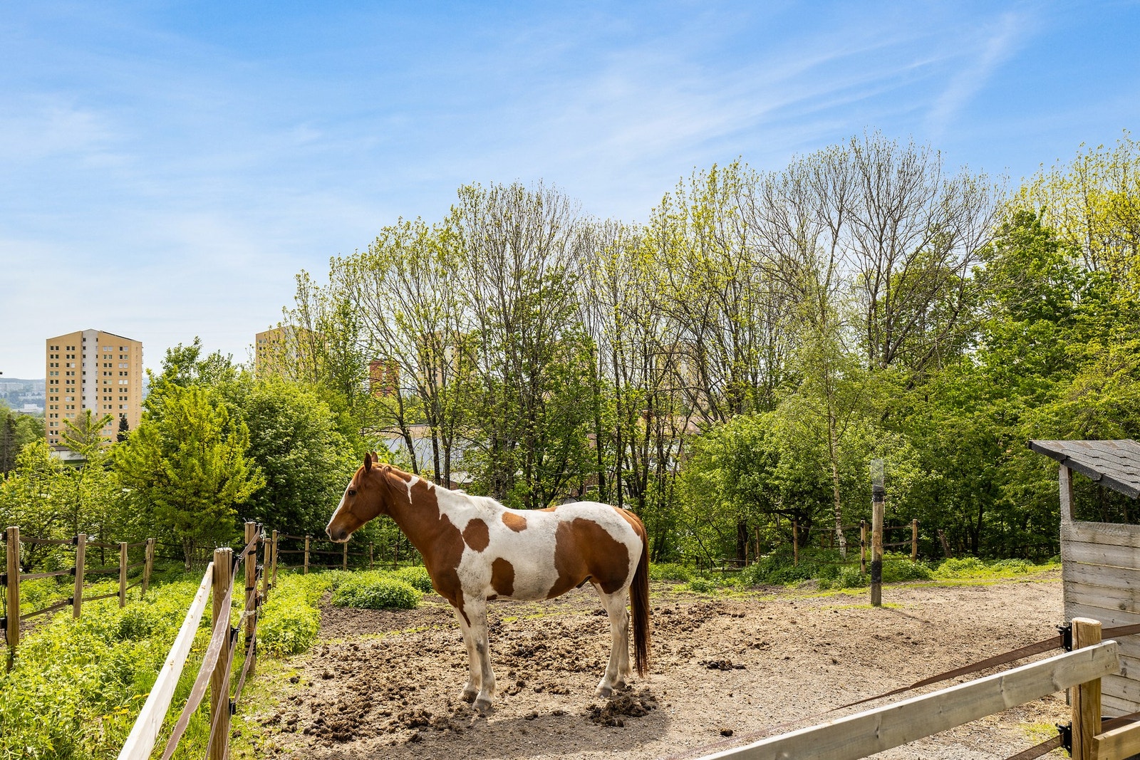 Årvoll gård Galleribilde