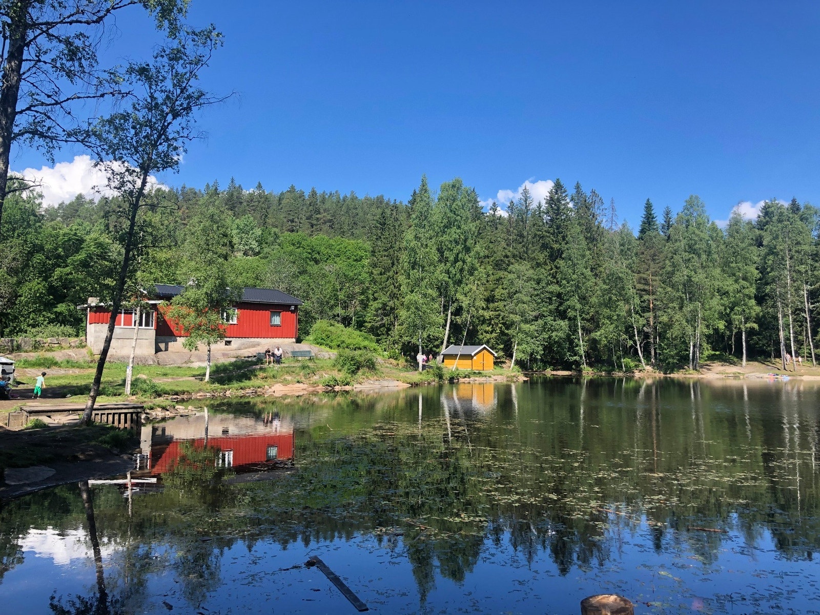 Isdammen ligger like ved boligen, fin badeplass om sommeren Galleribilde