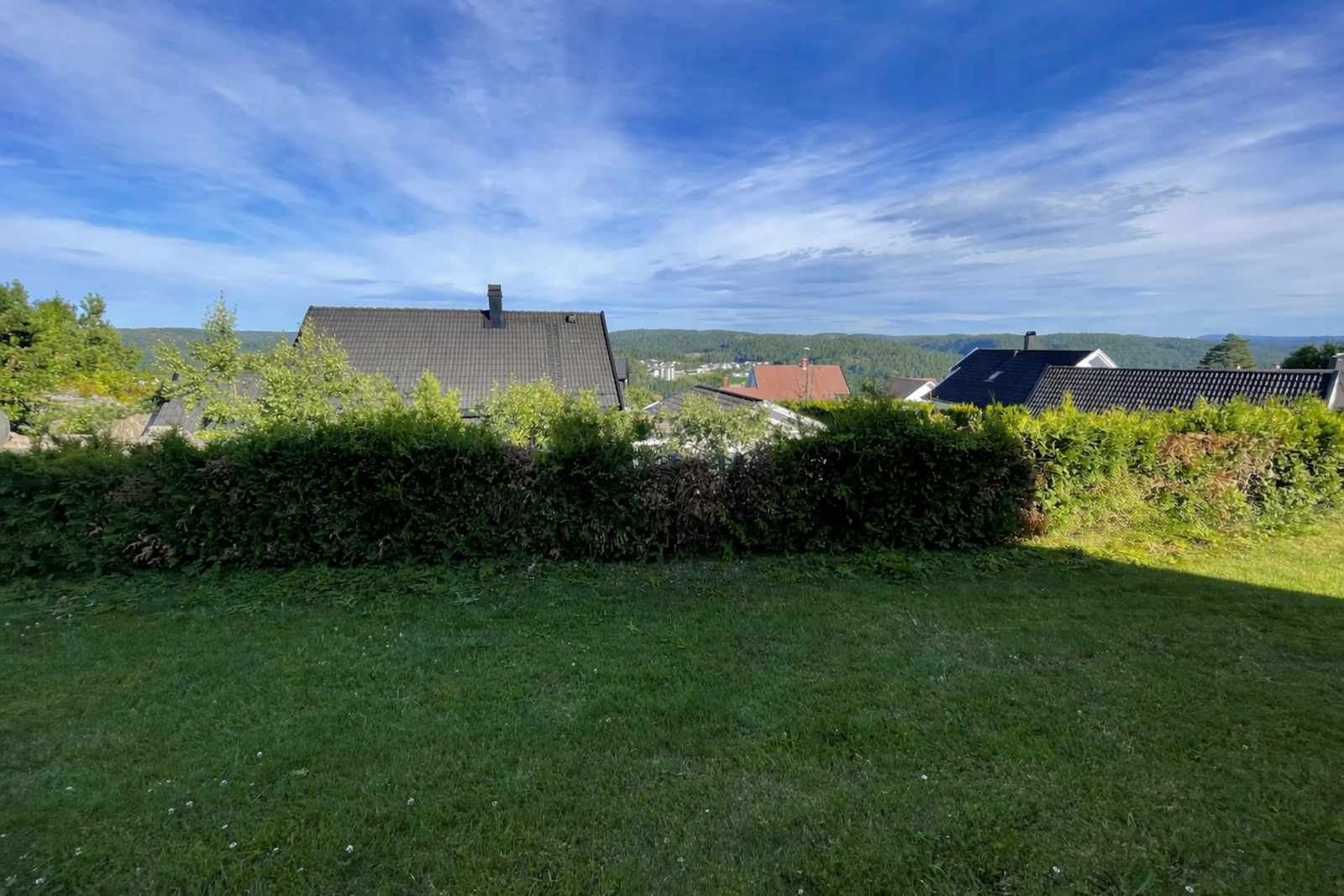 Sommerbilde av hagen og utsikten Galleribilde