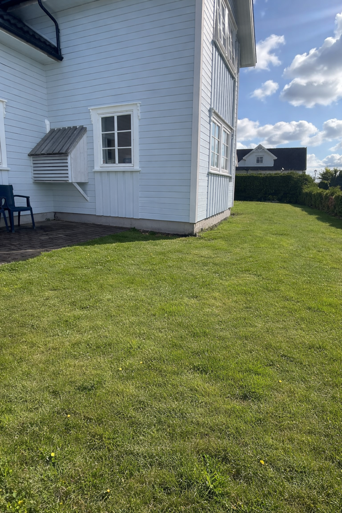 Sommerbilde av hagen Galleribilde