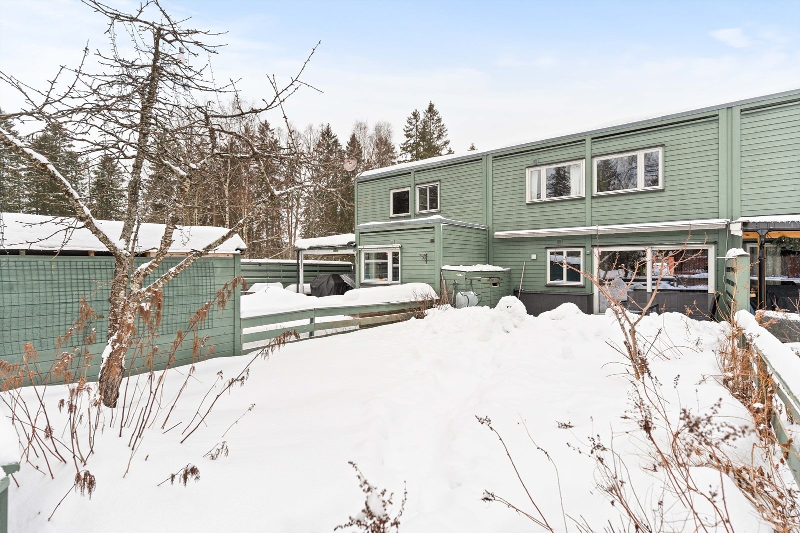 Hage/uteområde - grønn ramme rundt boligen Galleribilde