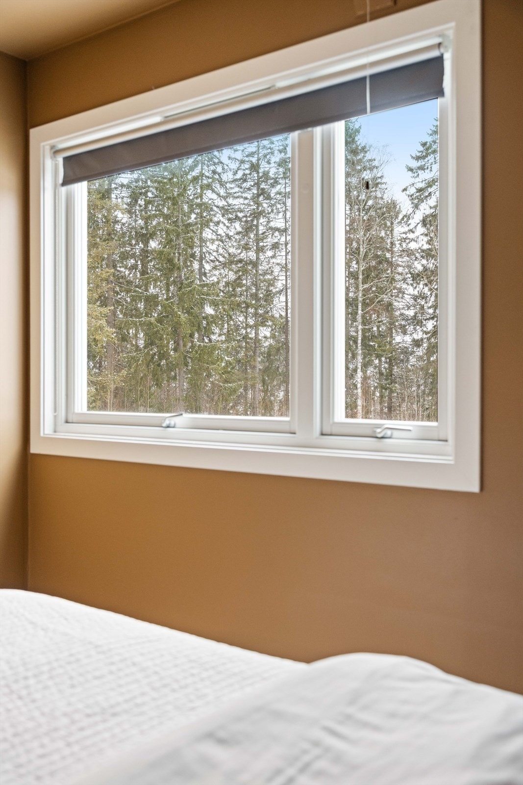 Rolig og fin intern beliggenhet inn mot skogholt. Galleribilde