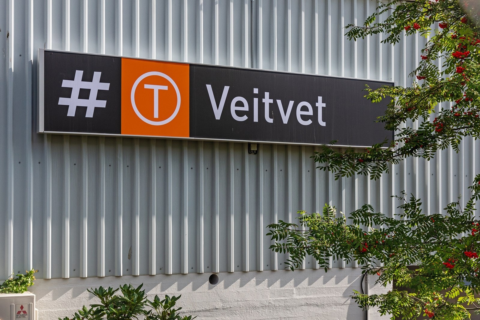 Fra Rådyrveien 1 er det kun 5 minutters gange til Veitvet T-bane, med rask reise til Oslo sentrum på 15 minutter. Galleribilde