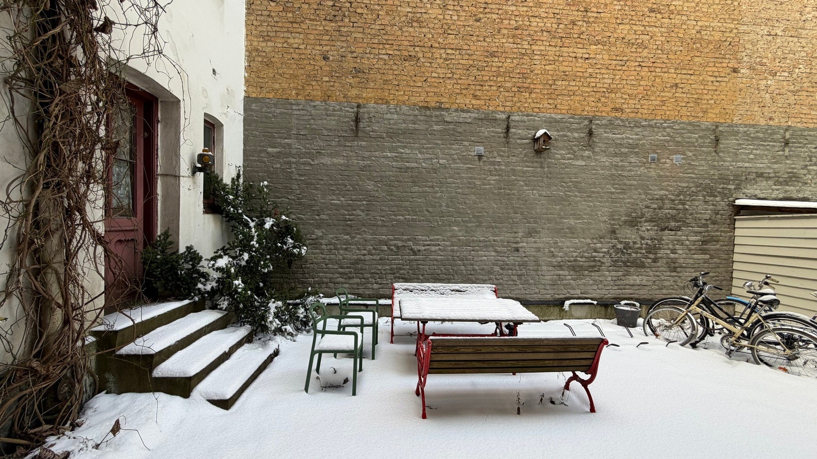 Hyggelig felles bakgård. Galleribilde