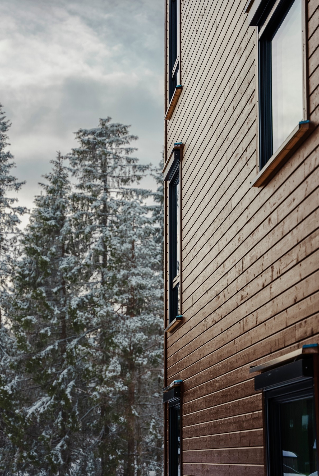 Her kommer man tett på naturen.- Galleribilde