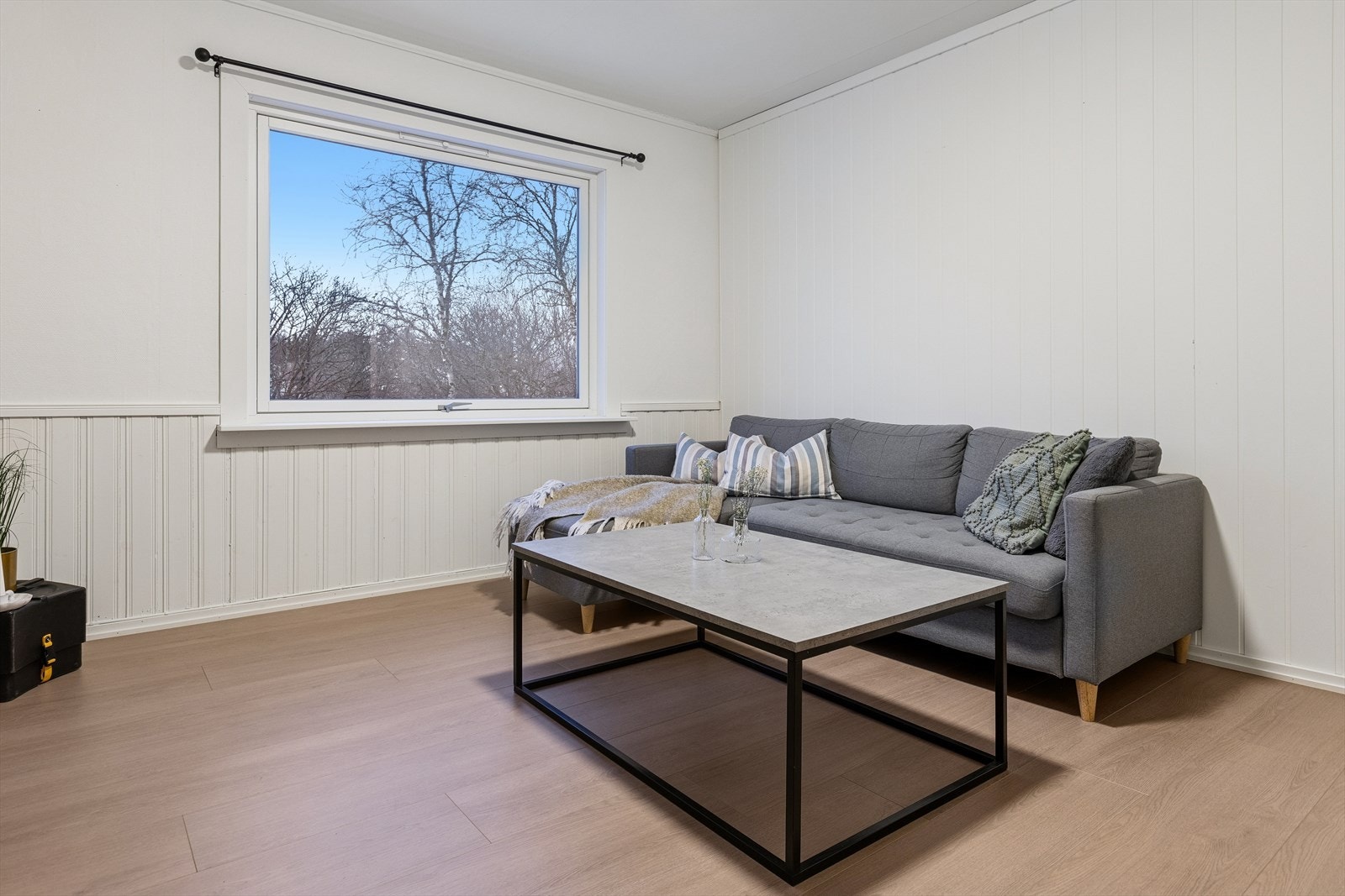 Fasaden er godt vedlikeholdt med stående panel og nyere vinduer fra 2019. Galleribilde