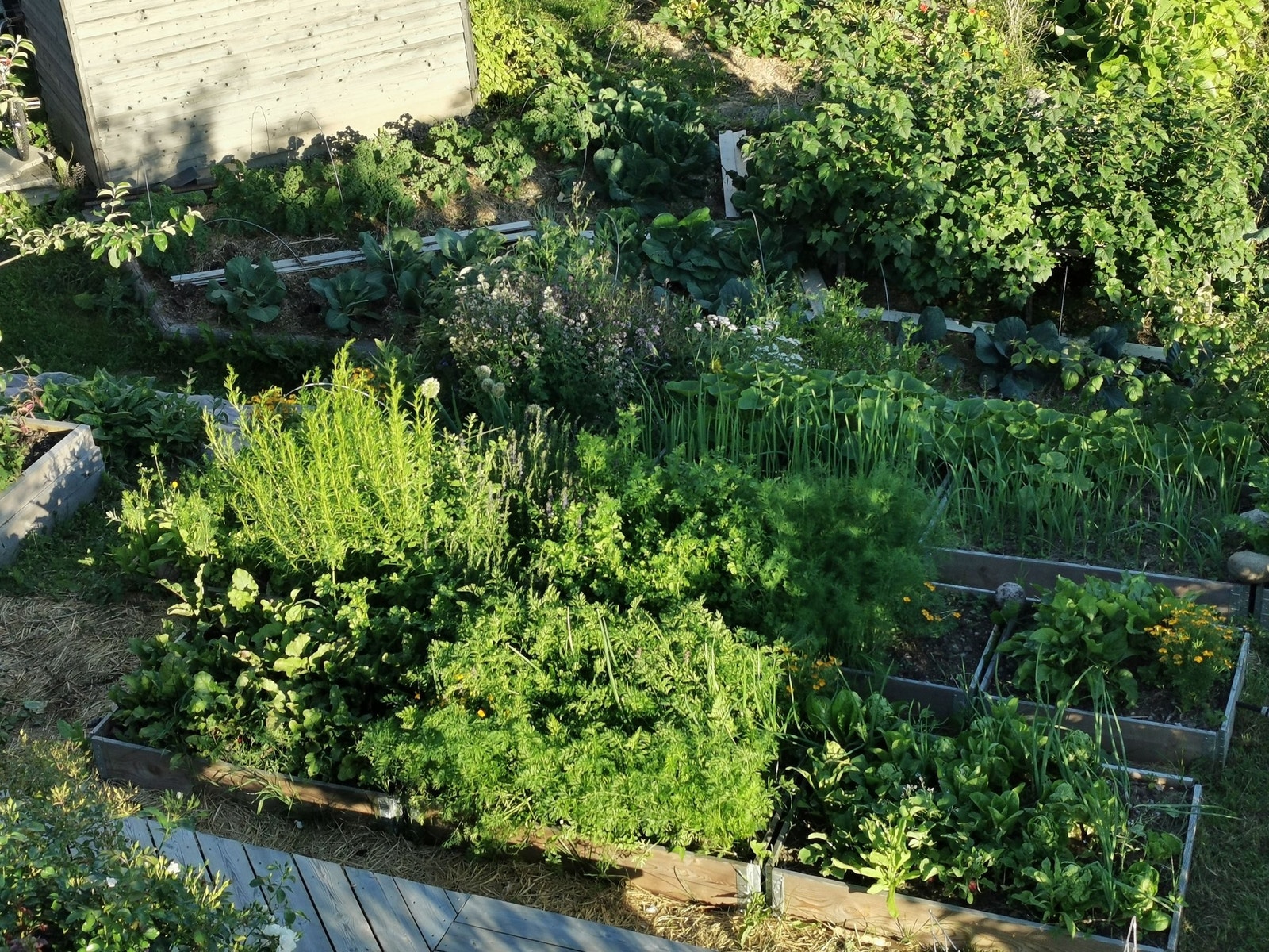 Og snur du deg, så ser du dyrkekassene i området mot naboen i sør. Galleribilde