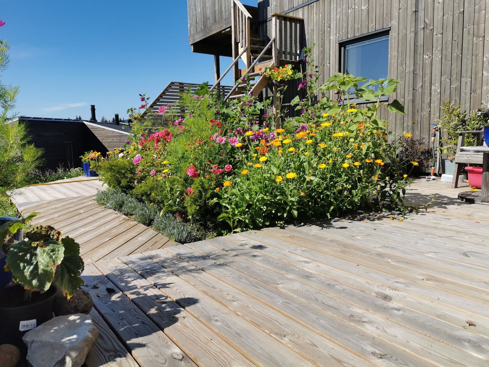 La oss gå inn i den usjenerte hagen. Her ser du trappa ned fra verandaen innerst på bildet. Galleribilde