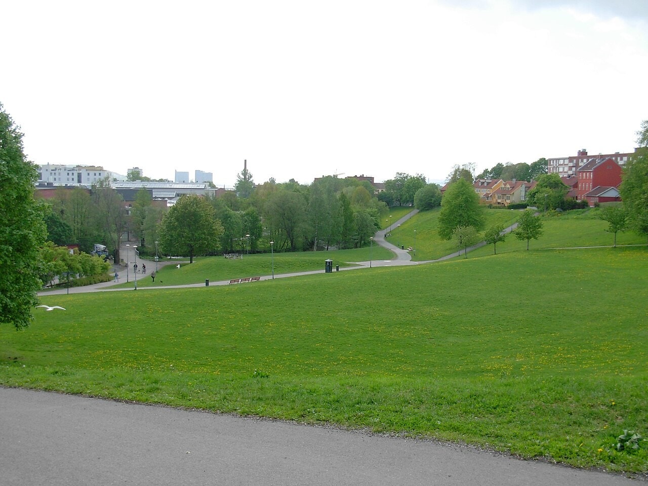 Parken Myraløkka er cirka 40 mål stor og ligger i en skålformet helling fra Maridalsveien i vest og Arendalsgata i nord ned mot Akerselva som ligger øst for parken. Turveien langs elva går gjennom Myraløkka. Galleribilde