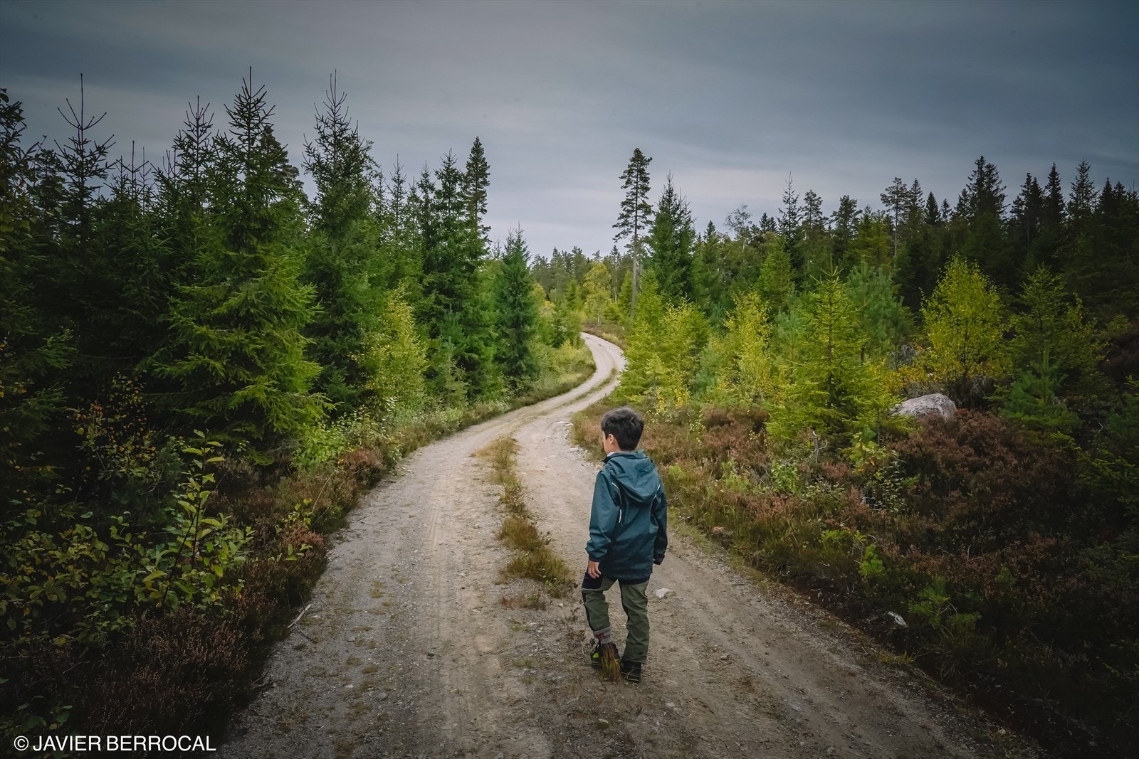 For den som vil nyte skog og mark finnes det utallige muligheter i nærliggende natur Galleribilde