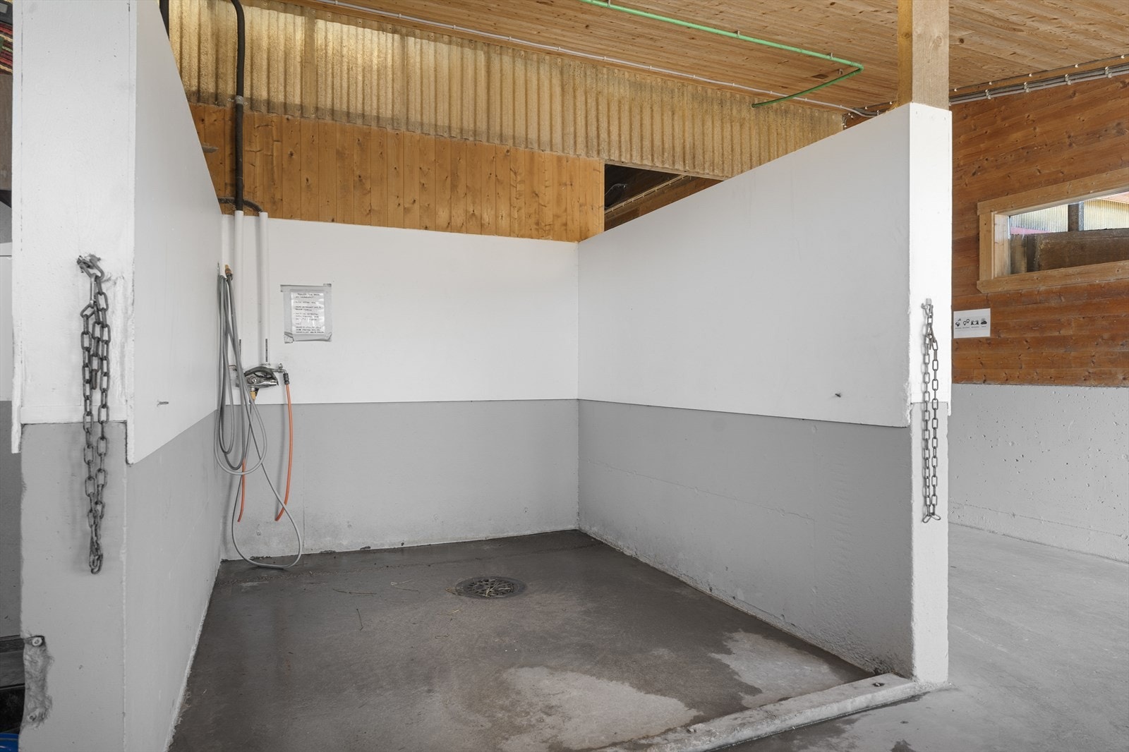 Stort vaskespilt hvor hestene kan vaskes ved behov Galleribilde