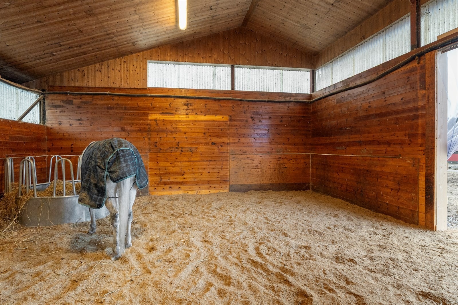 I deler av stallbygningen er det etablert egen løsdrift der hestene kan gå inn og ut som de selv ønsker - her har hestene tilgang til oppgruset område samt beitearealer i sommersesongen Galleribilde