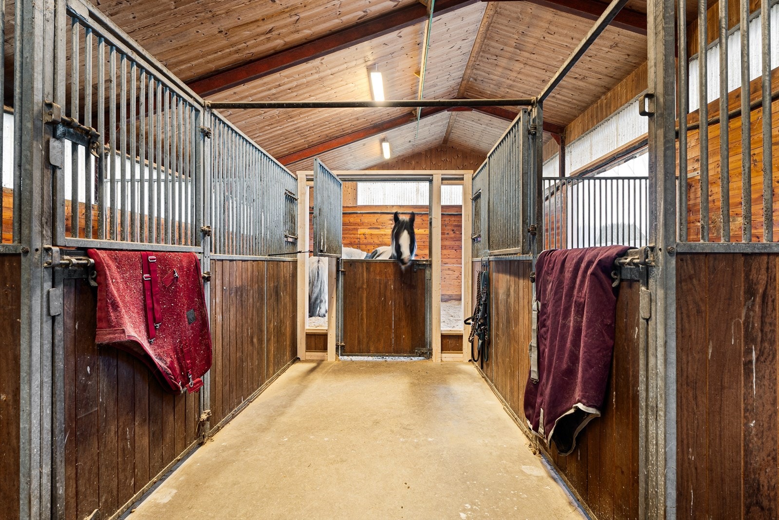 Det er også satt inn dør mellom stallen og løsdriften - meget praktisk når hestene skal inn for å trenes! Galleribilde