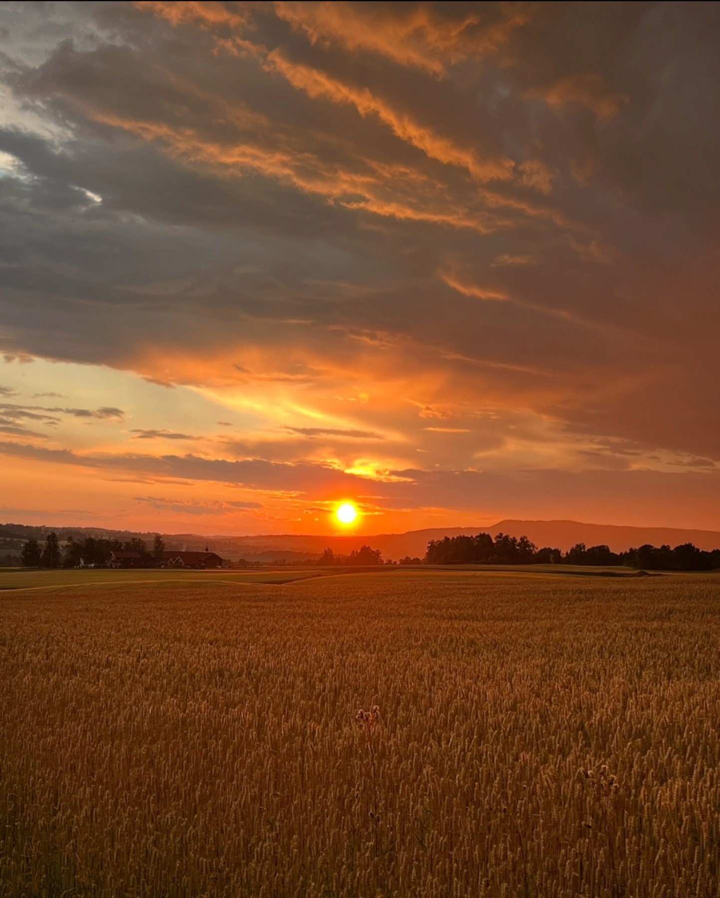 Foto: Selger Galleribilde