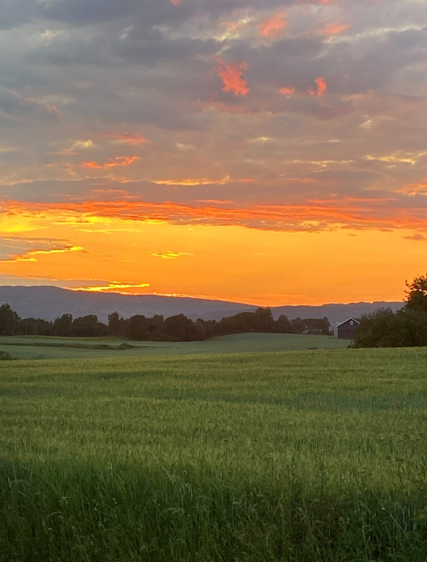 Foto: Selger Galleribilde