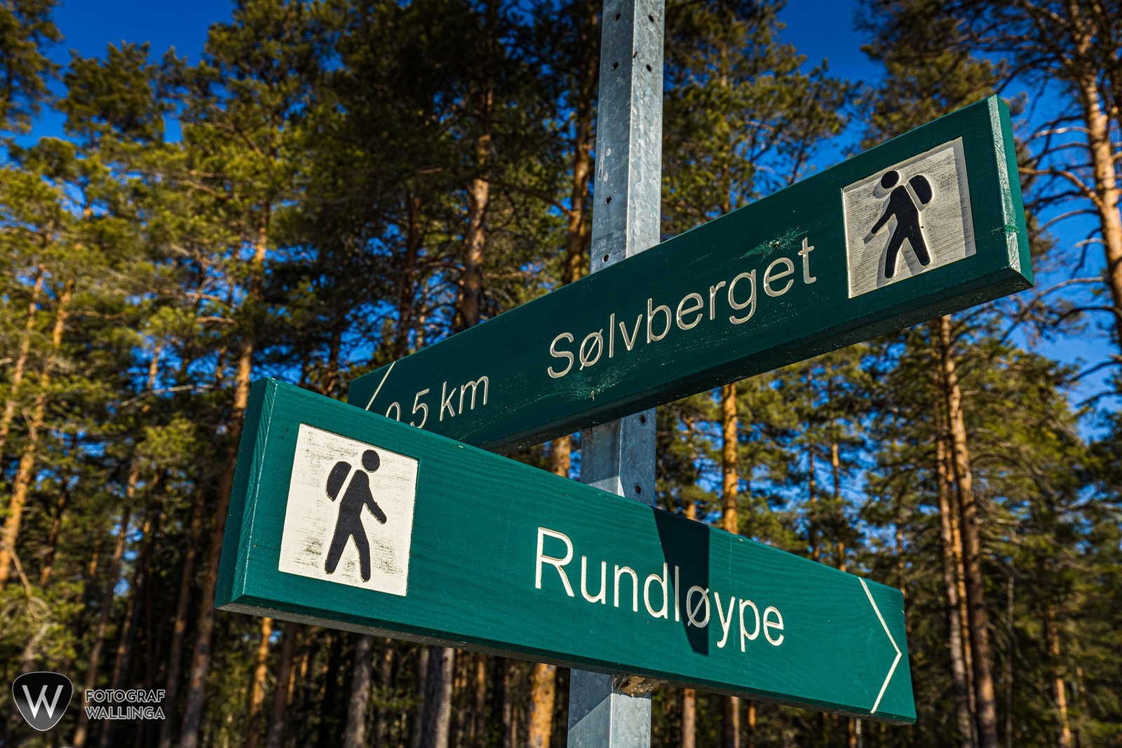 Rett ved leiligheten finner man mange fine turmuligheter. Galleribilde