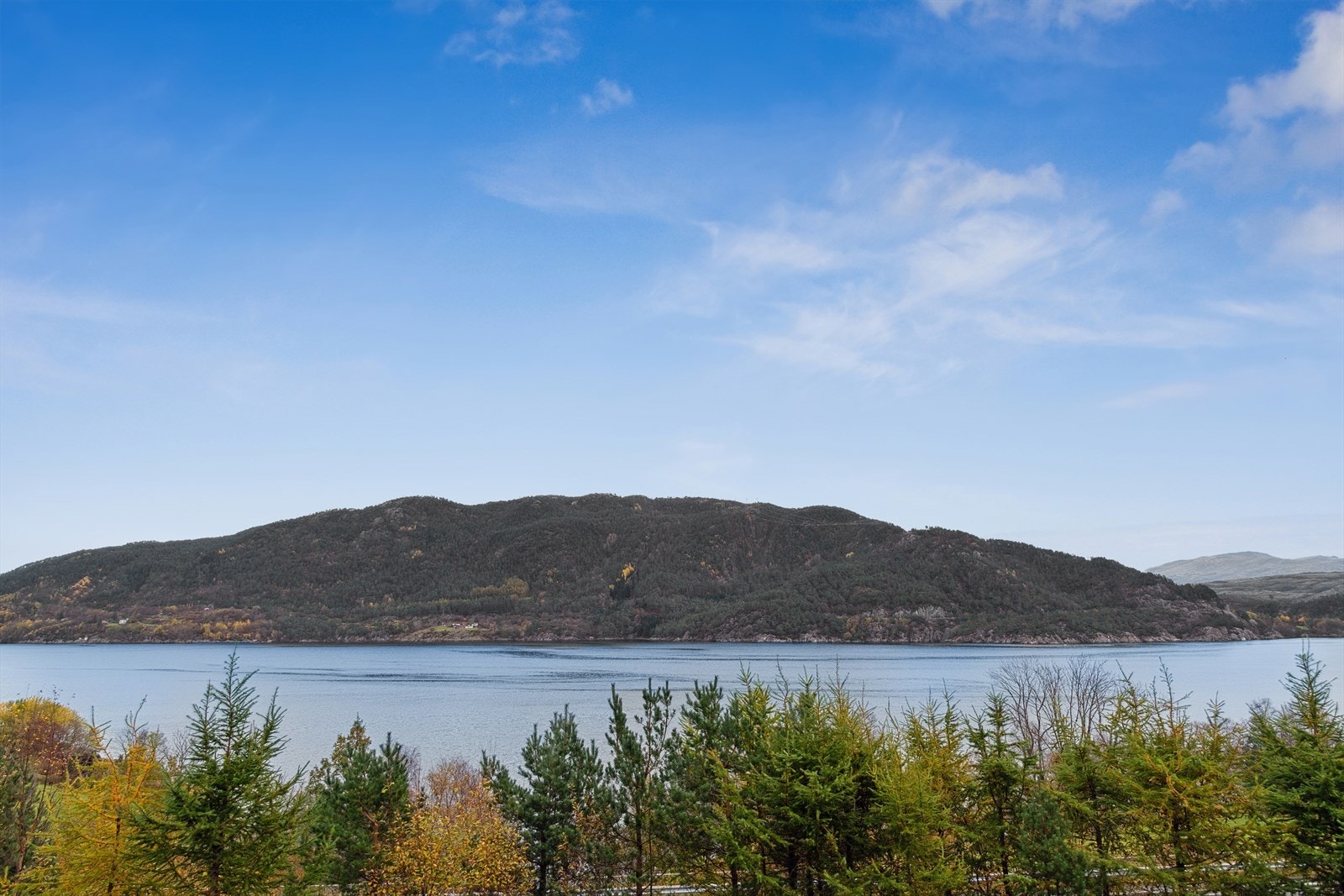 Beliggenheten gir nærhet til skog, fjellstier og friluftsområder, og er ideell for deg som ønsker landlig ro med tilgang til naturen. Galleribilde