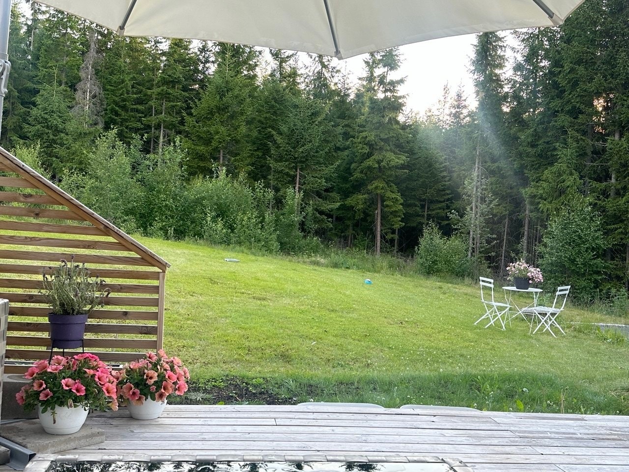 Romslig hage på baksiden av boligen. Galleribilde