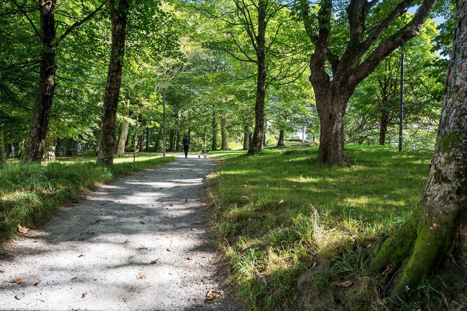 Sentral beliggenhet like ved Bjergstedsparken og Konserthuset. Galleribilde
