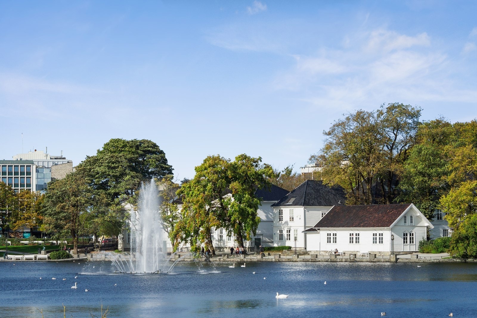 I andre retningen, og kun en 10-15 minutters gange fra boligen, finner du Breiavannet og Stavanger sentrum Galleribilde