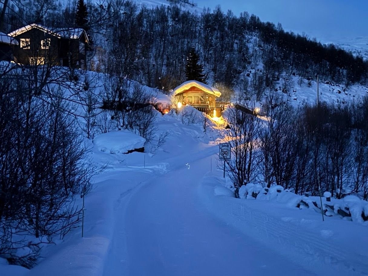 Tatt fra nedkjørselen til Opdalstølen Galleribilde