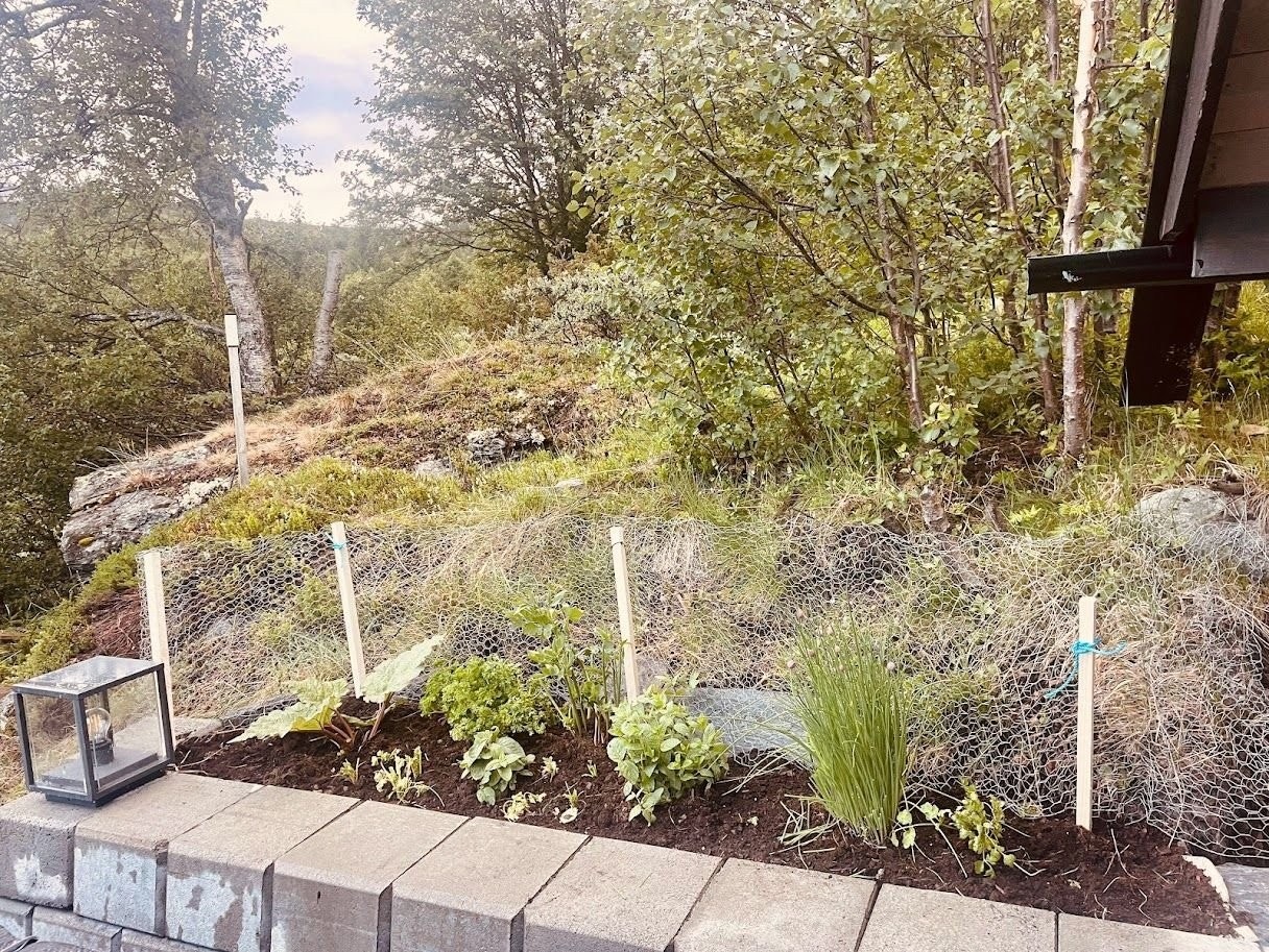 Urtebed Galleribilde