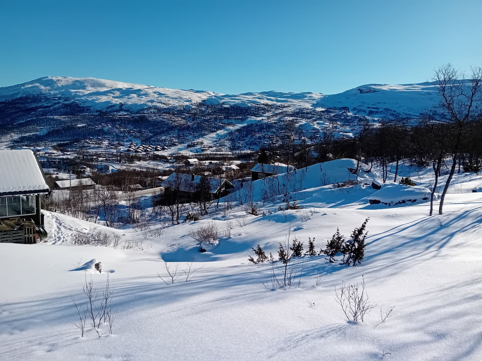 På vei inn i skogsløypen bak/ovenfor hytten Galleribilde