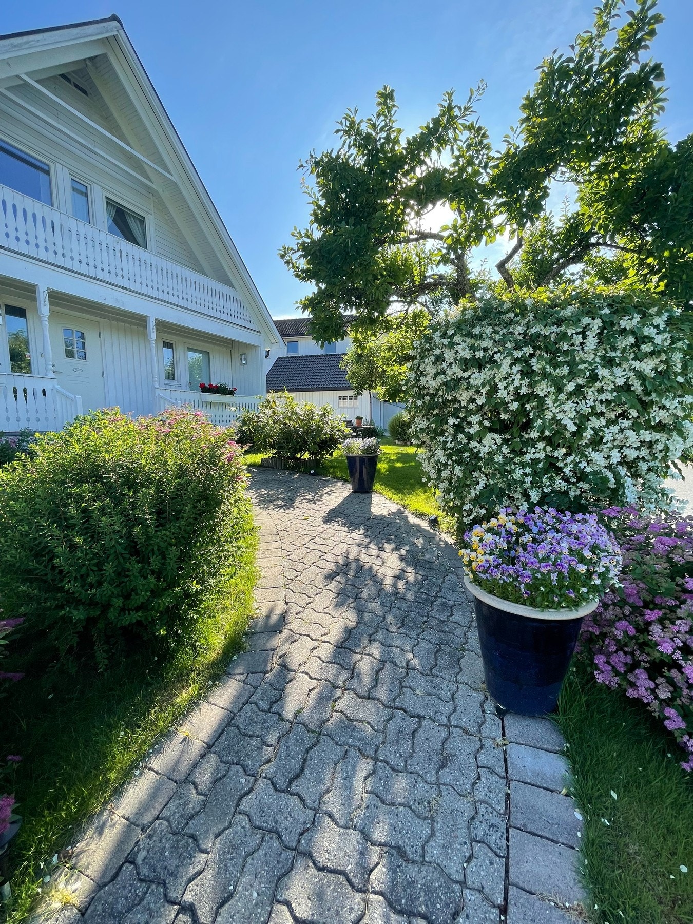 Adkomst i sommerlig skrud Galleribilde