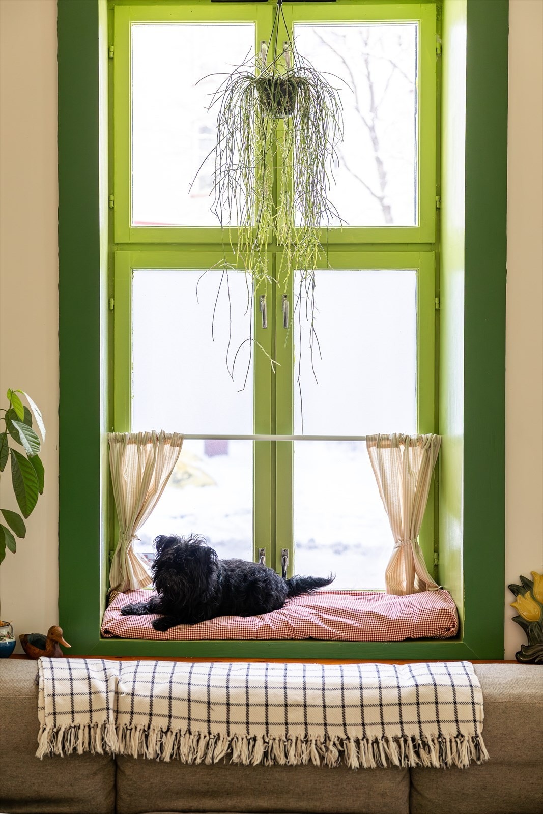 Her vil du trives enten du er to- eller firebeint. Galleribilde