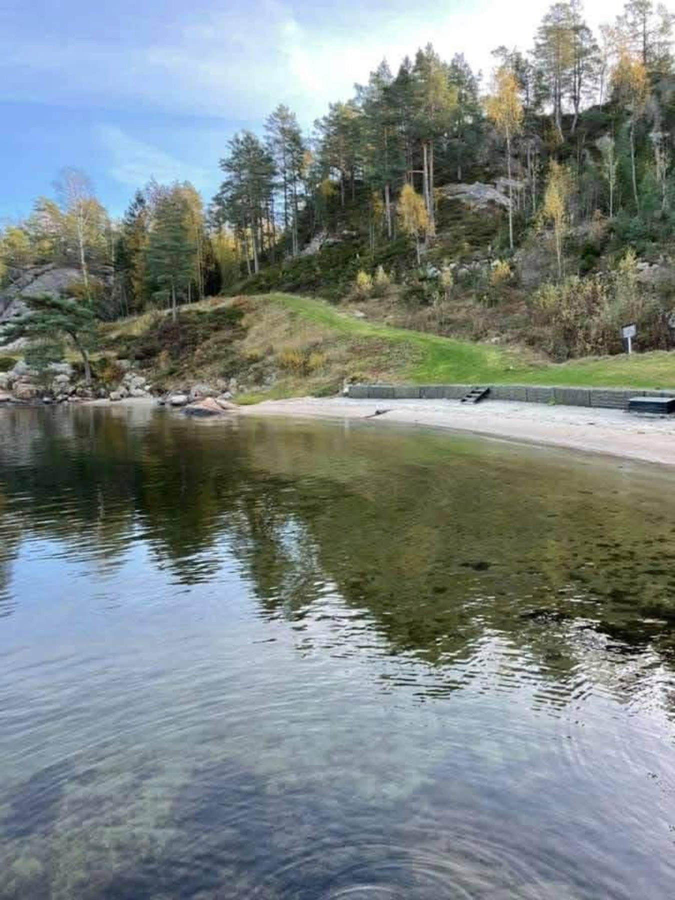 Selgers bilde Galleribilde