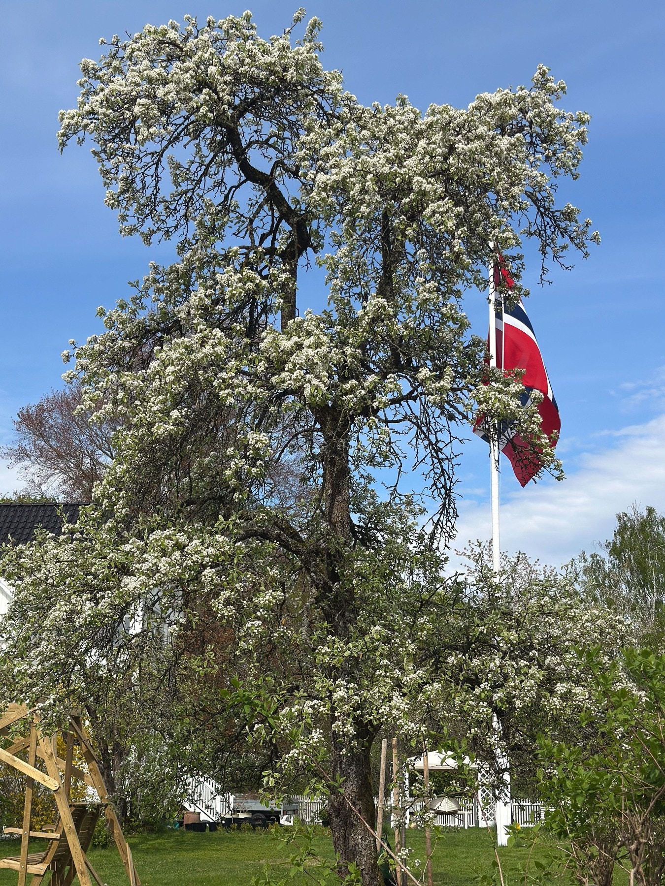 Frodige frukttrær og bærbusker inkluderer epler, pærer, moreller og kirsebær, i tillegg til prydtrær som blomstrer vakkert om våren. Duften av syrin og sjasmin understreker idyllen. Galleribilde