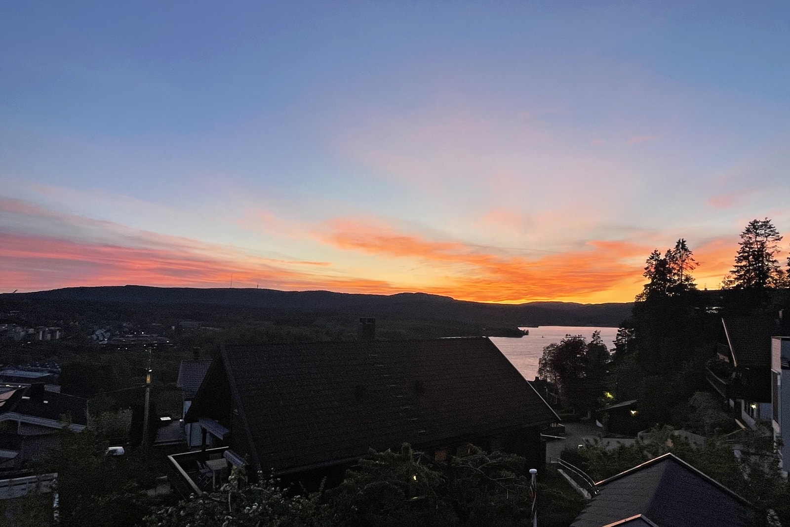 Selgers eget bilde Galleribilde