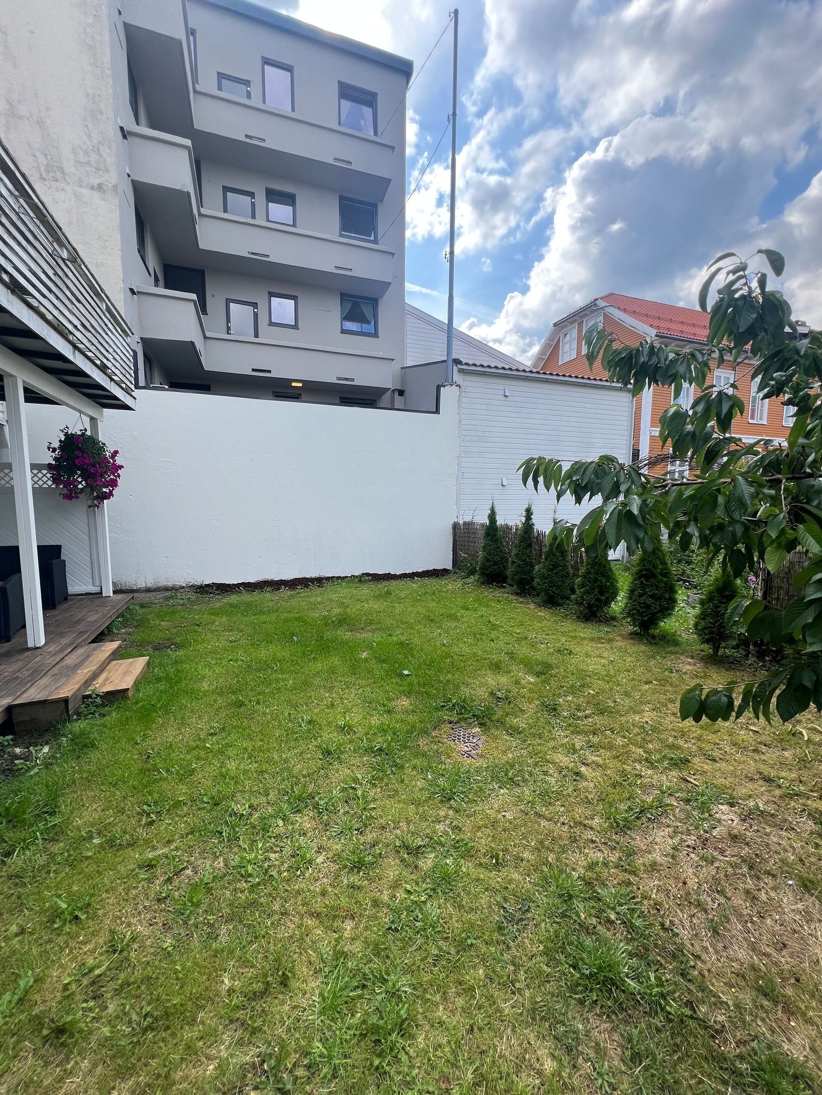 Stor felles hage. Galleribilde