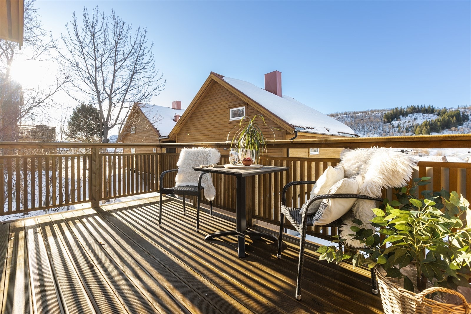 Nyt lange soldager i godt selskap, eller med en god bok. Galleribilde