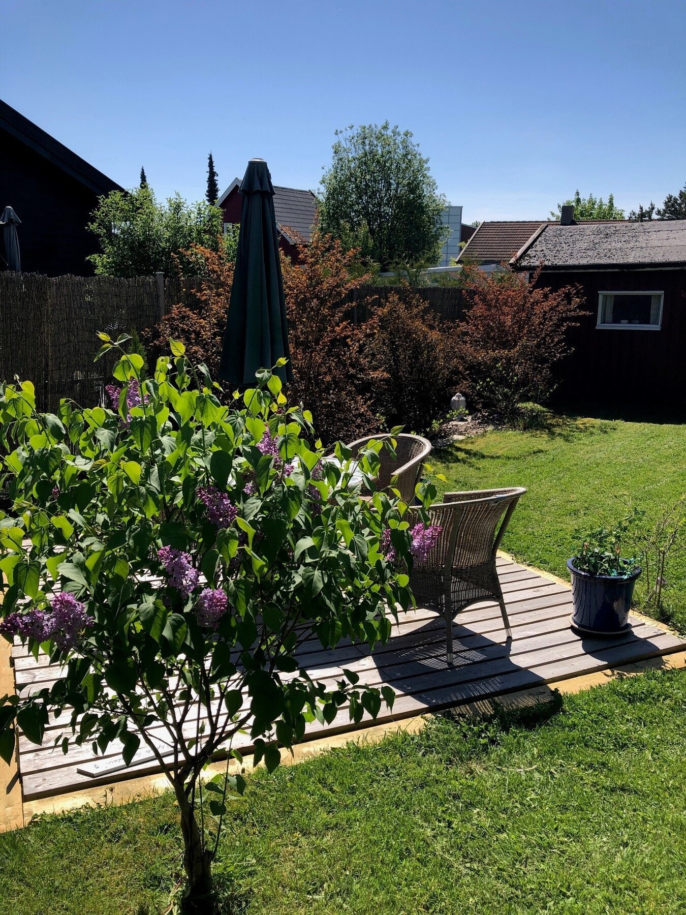 Selgers private sommerbilde. Galleribilde