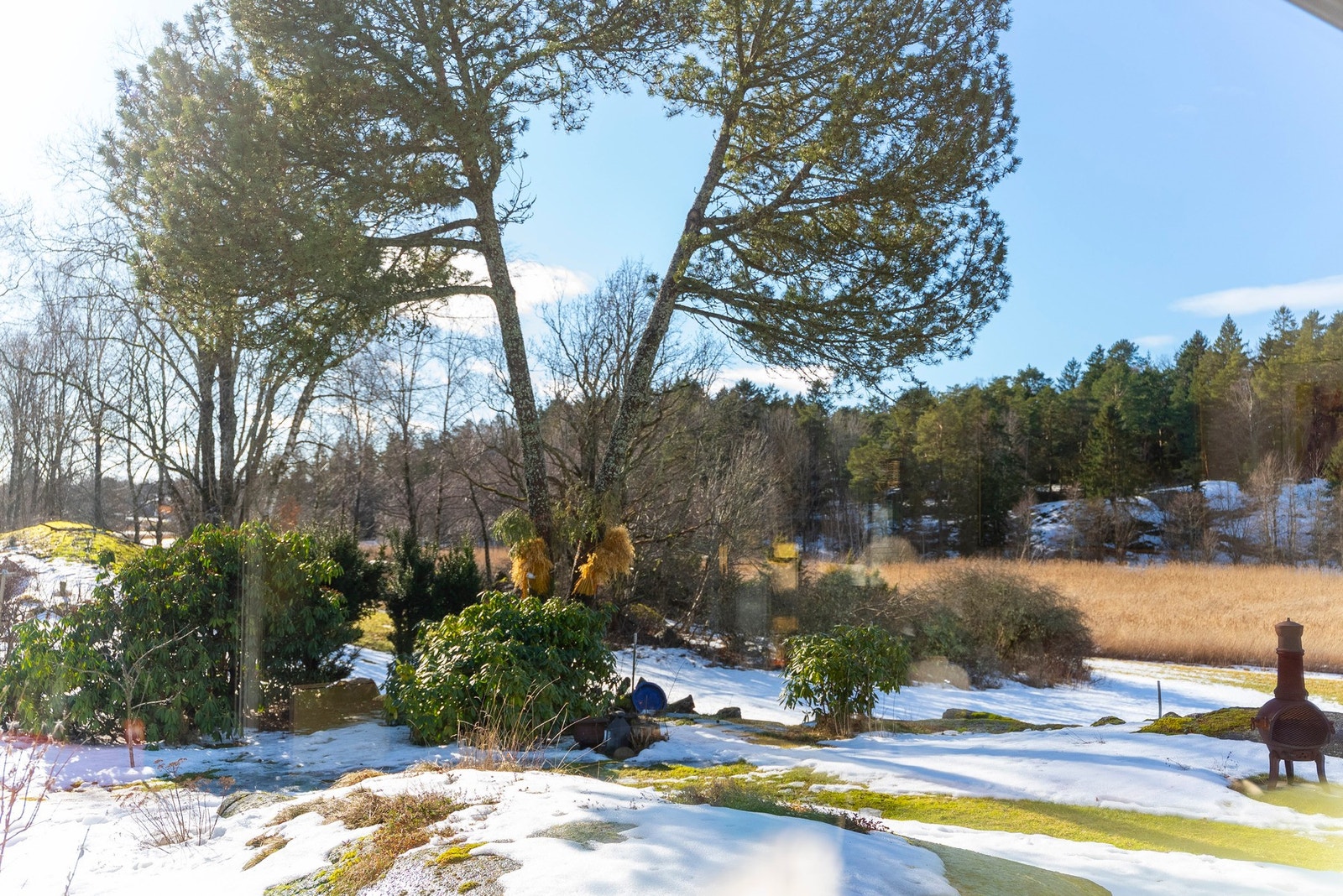 Nydelig tomt med vestvendt orientering Galleribilde