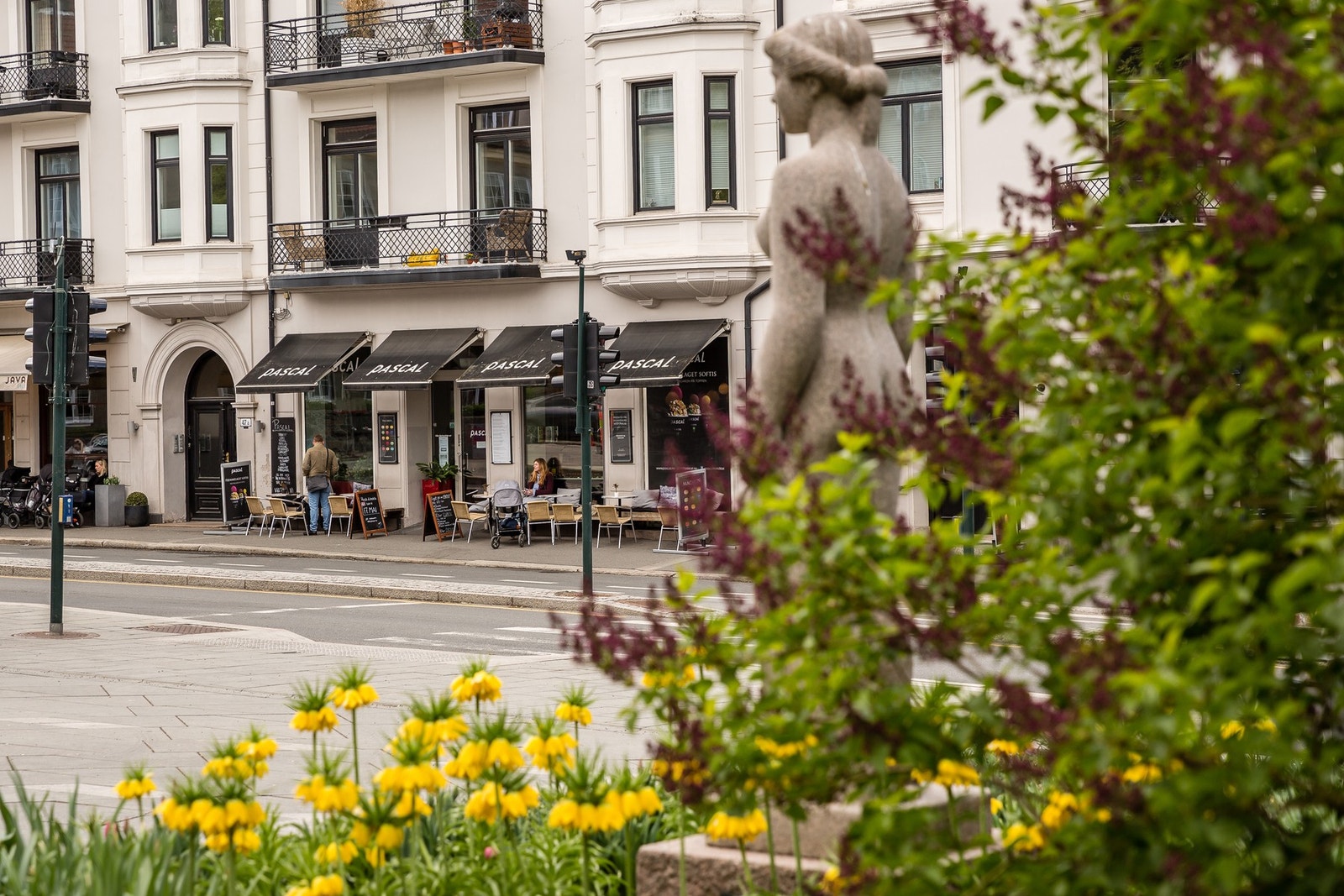 Populære Pascal er rett rundt hjørnet. Galleribilde